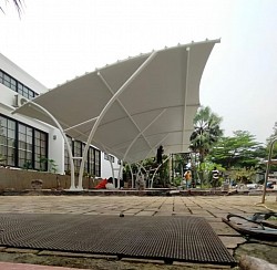 Canopy Membrane