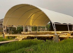 Canopy Membrane