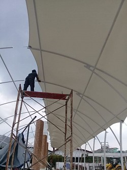 Canopy Membrane