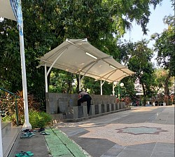 Canopy Membrane